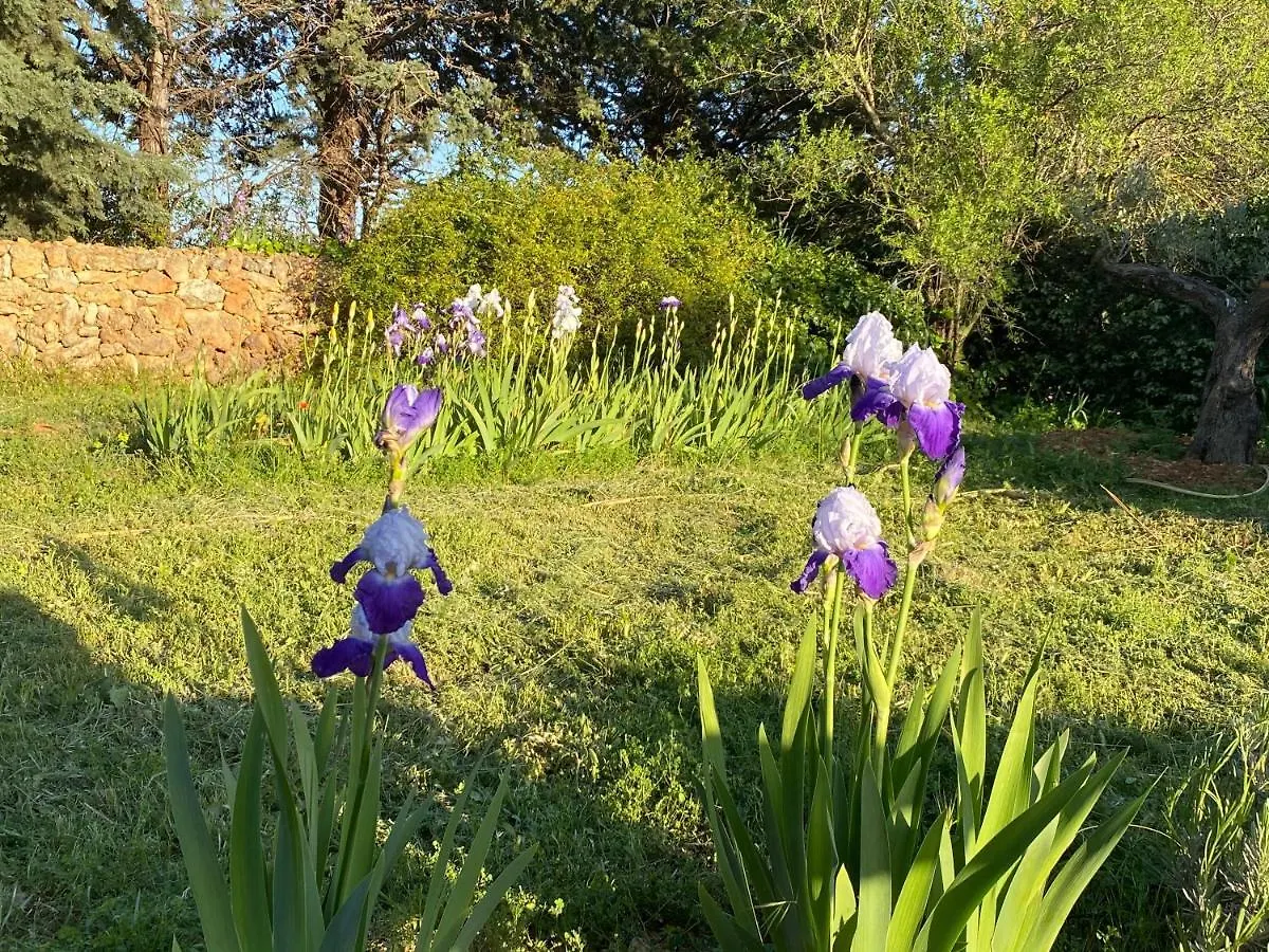 Villa Faro Provence Var Montfort-sur-Argens